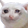 :mericCat: