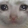 :sadCat: :sadCat: