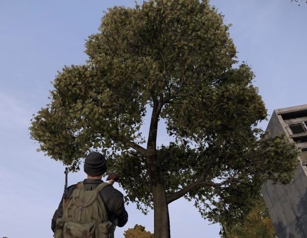 1413037212_dayz-yasen1.jpg.4cb65df7e1f5ce5cf4d31801ca74c426.jpg