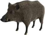 1413300074_bez-imeni-1.png.e2c66923aa9ecc7148f96c2f2026eb60.png