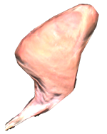 1413301253_300px-rawrabbitleg.png.b52e1b0ab77b9f92f2f4d4a92e68fe18.png