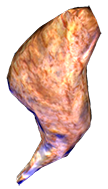 1413301650_300px-cookedrabbitleg.png.aa272dfc3325224abfa3fb3bd33c794d.png