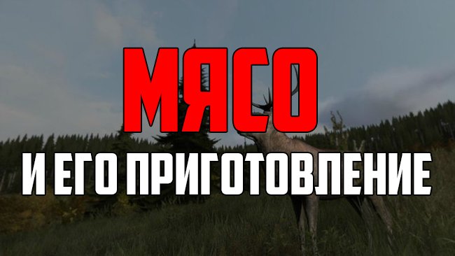 1413303315_56838700.jpg.11f4d5f7050f824e3dafedaa49a7e1c1.jpg