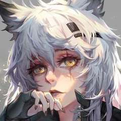Racoon