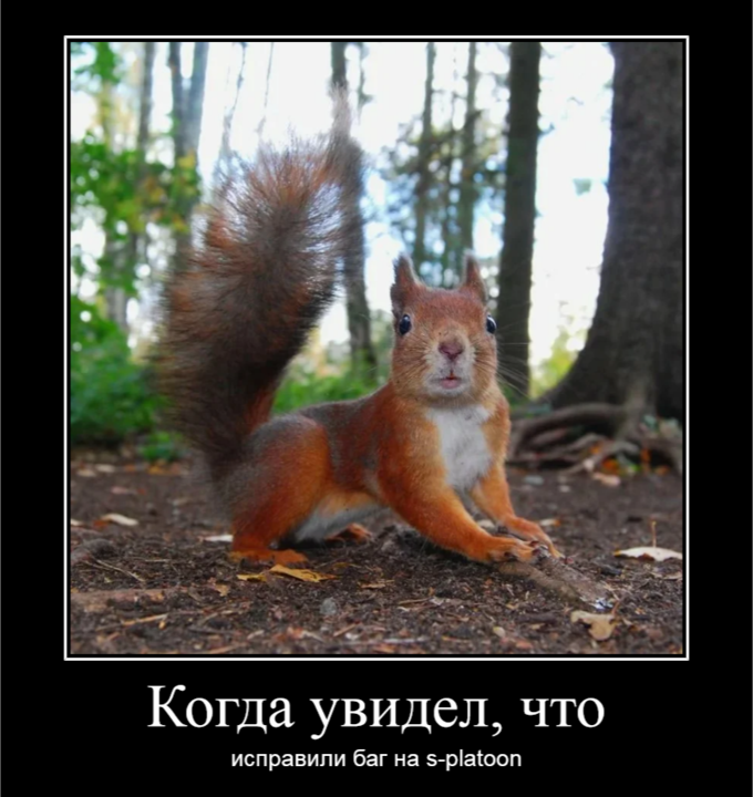 dem_5ef37b6e71742.png.6e311c40cd64b0aa66981b6871173481.png