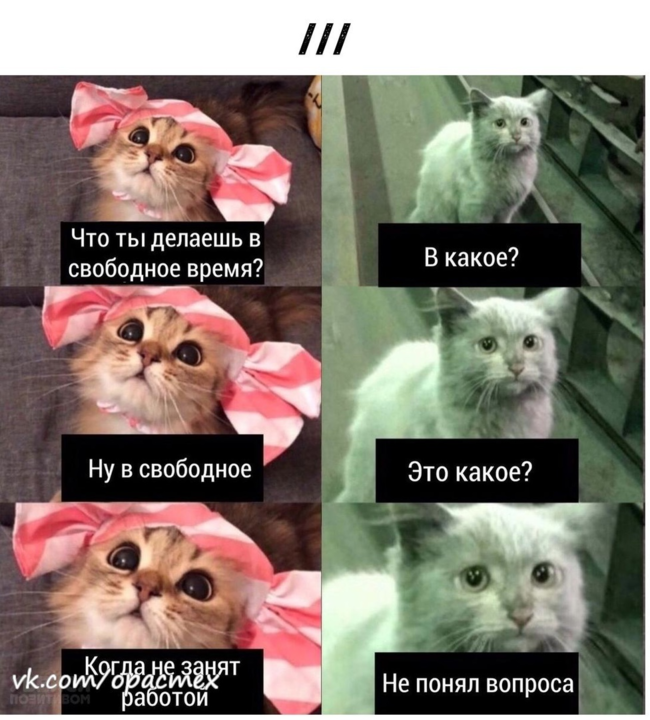 1441729371_.png.4ad58aa956dfdd0d8b28aa261e8d975c.png
