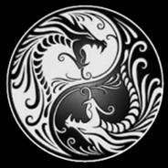 kungfuassassin