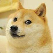 slavik_5x