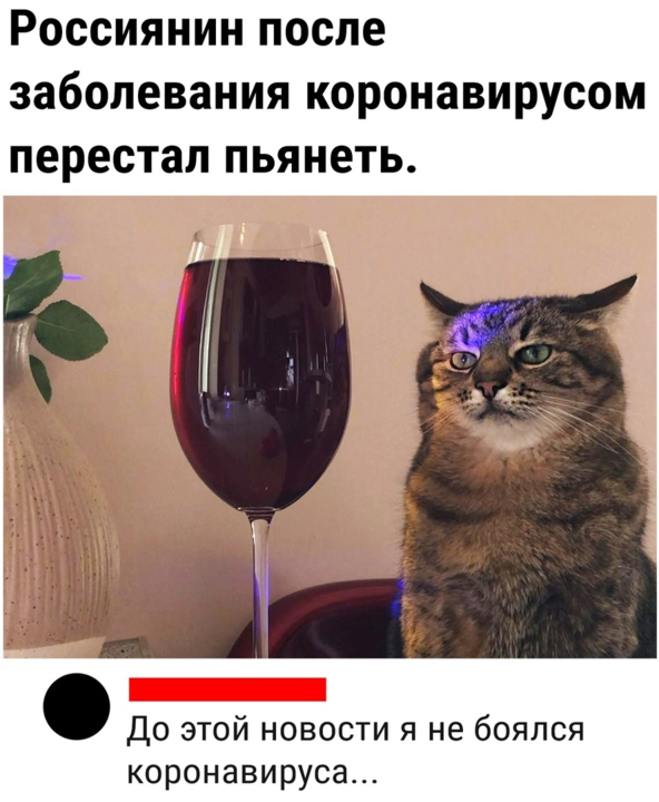 1923147587_.png.4e863d5d0c048d6d018fd966e3a22a1a.png