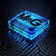 Mr_Gringo