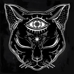 blackcat