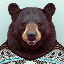 Nikolay10rus